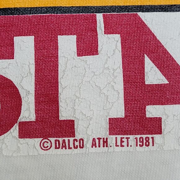 Vintage 1981 Florida State Hoodie Shirt Small 20x24 White FSU 80s Lightweight - Picture 9 of 14